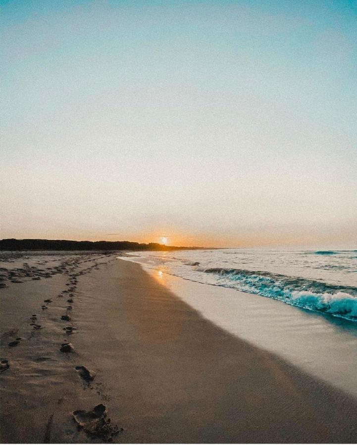 Troon Beach Cottage Hermanus Dış mekan fotoğraf
