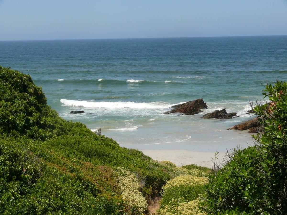 Troon Beach Cottage Hermanus Dış mekan fotoğraf