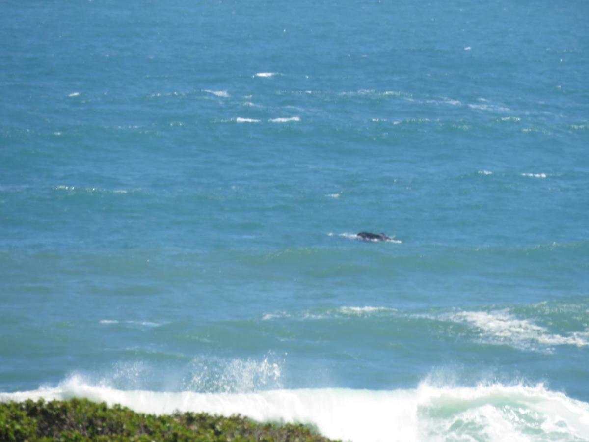 Troon Beach Cottage Hermanus Dış mekan fotoğraf