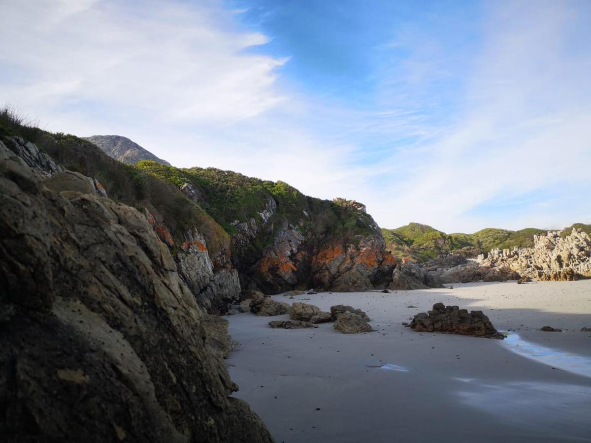 Troon Beach Cottage Hermanus Dış mekan fotoğraf