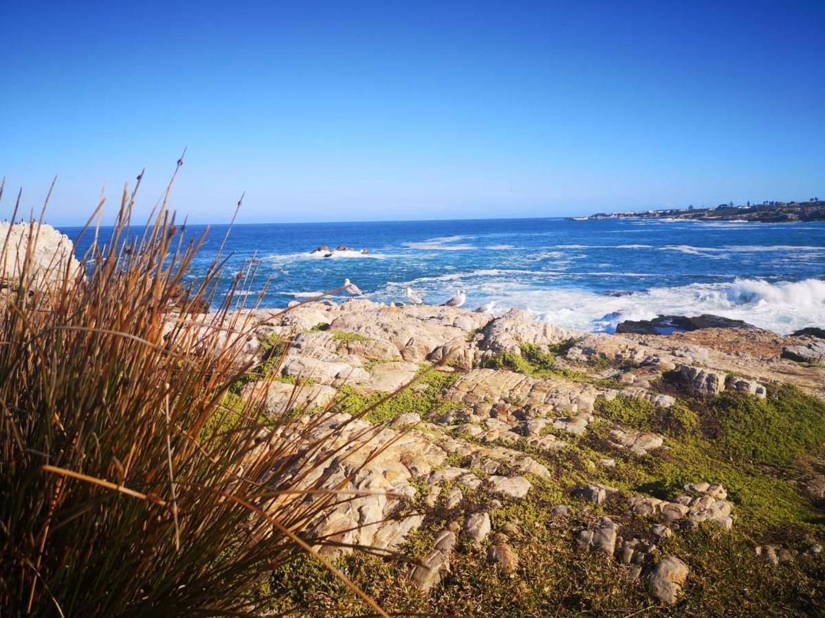 Troon Beach Cottage Hermanus Dış mekan fotoğraf