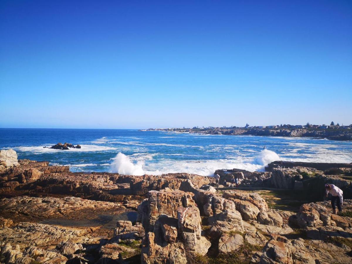 Troon Beach Cottage Hermanus Dış mekan fotoğraf