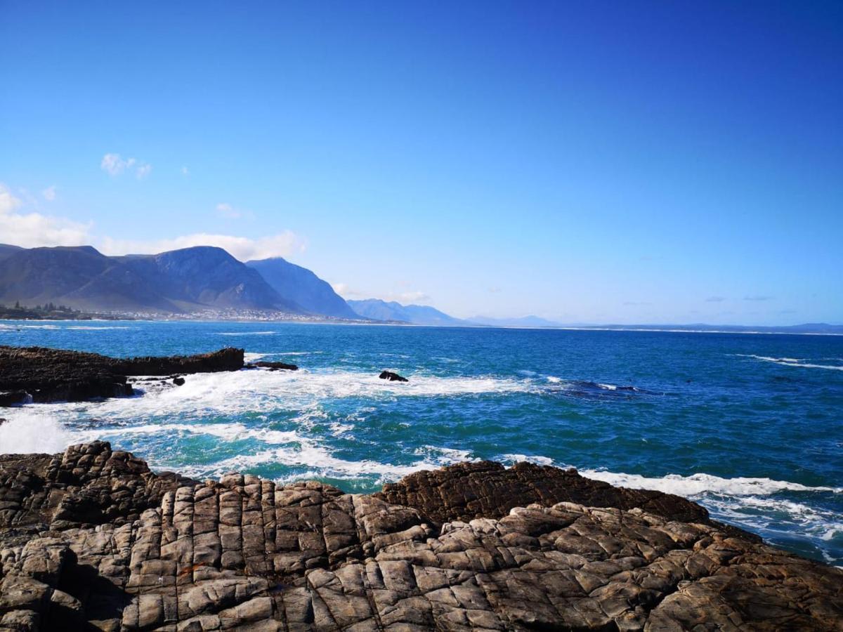 Troon Beach Cottage Hermanus Dış mekan fotoğraf